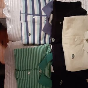 COPY - 5 polo styled short sleeved lacoste shirts